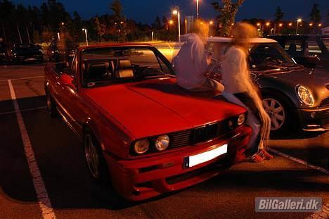 BMW 327i Cab billede 10