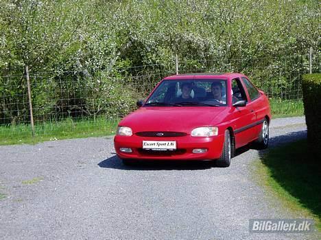 Ford (TOTALSKADET)Escort sport - 1. dag med den nye dyt billede 1