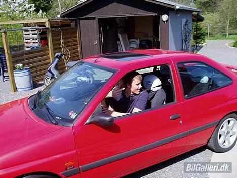 Ford (TOTALSKADET)Escort sport billede 2