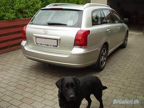 Toyota Avensis 2.0 D-4D - hund! flyt dig!  billede 4