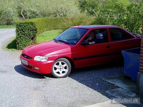 Ford (TOTALSKADET)Escort sport billede 3