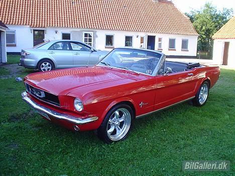 Amerikaner Ford Mustang Conv. billede 1