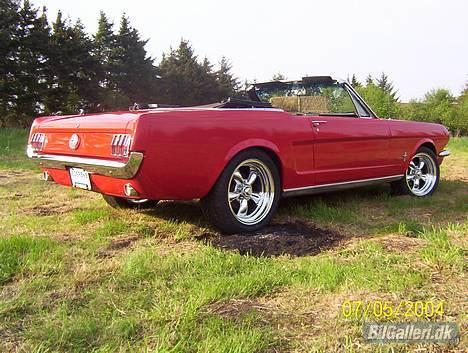 Amerikaner Ford Mustang Conv. billede 2