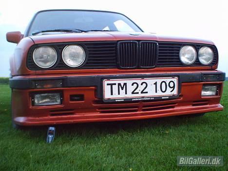BMW 324 TD billede 8