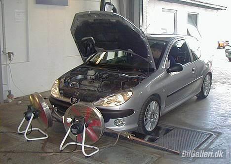 Peugeot 206 XS billede 7