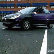 Peugeot 206   STJÅLET