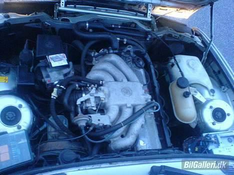 BMW 320I E30 - Solgt. billede 10