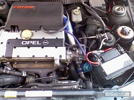 Opel calibra billede 2