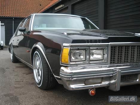 Amerikaner Chevrolet Caprice billede 1