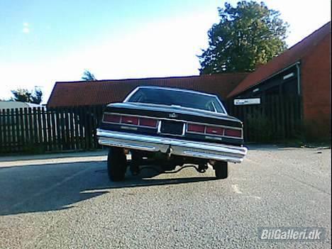 Amerikaner Chevrolet Caprice billede 6