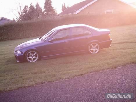 BMW e36 solgt billede 14