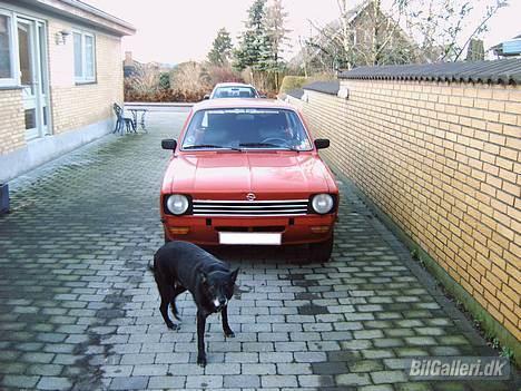 Opel Kadett C. stc. - VAGT Hunden :-) billede 10