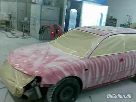 VW Passat Variant TDI - Billeder taget hos maleren billede 14