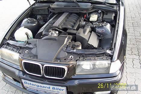 BMW 320 i cabriolet  billede 5