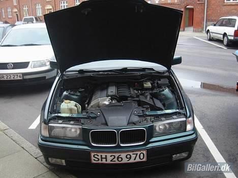 BMW 320i billede 5