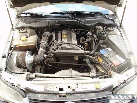 Opel Omega billede 3