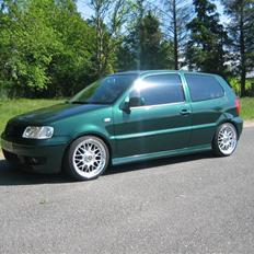 VW Solgt Polo 6N2 1,4 16V