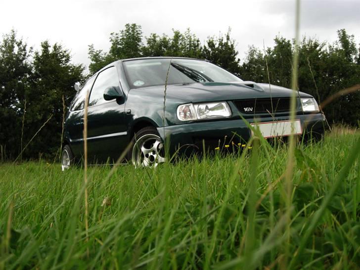 VW Polo 6n ((( Solgt  ))) billede 1