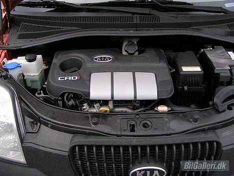 Kia Picanto 1,1 CRDi LX billede 12