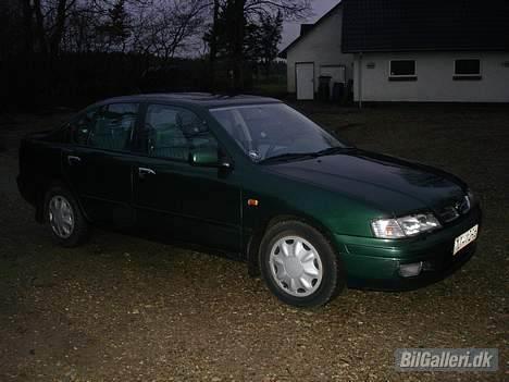 Nissan Primera SE - Her står den nyvasket. billede 1