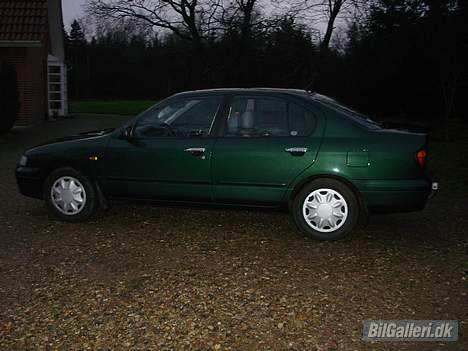 Nissan Primera SE - også nyvasket... billede 4