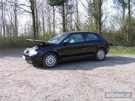 Audi A3 *Solgt* :( billede 1