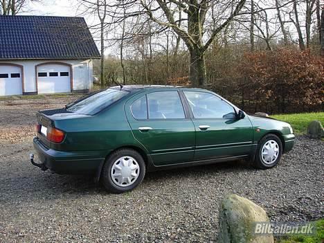 Nissan Primera SE billede 8