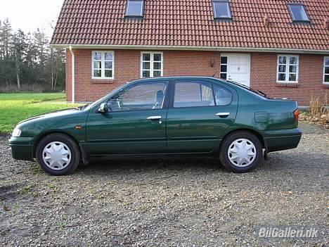 Nissan Primera SE billede 10
