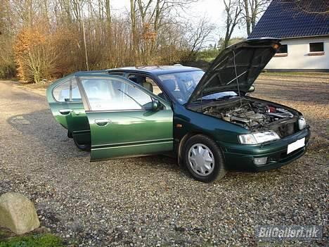 Nissan Primera SE billede 12