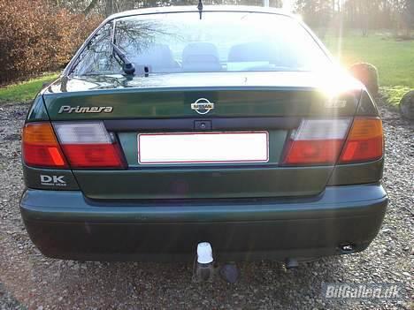 Nissan Primera SE billede 13