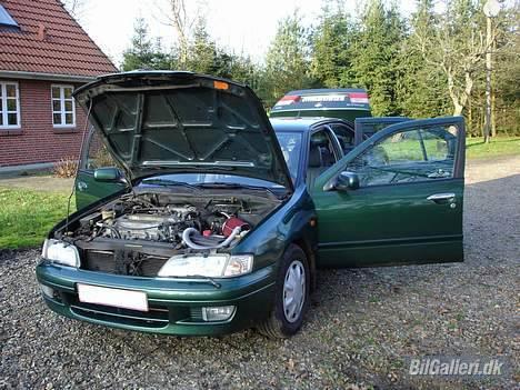 Nissan Primera SE billede 14