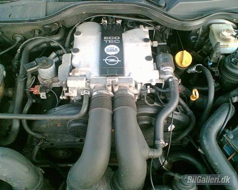 Opel Omega MV6 solgt billede 5