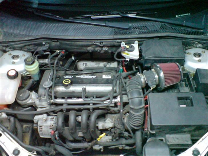 Ford Focus # DØD # billede 4