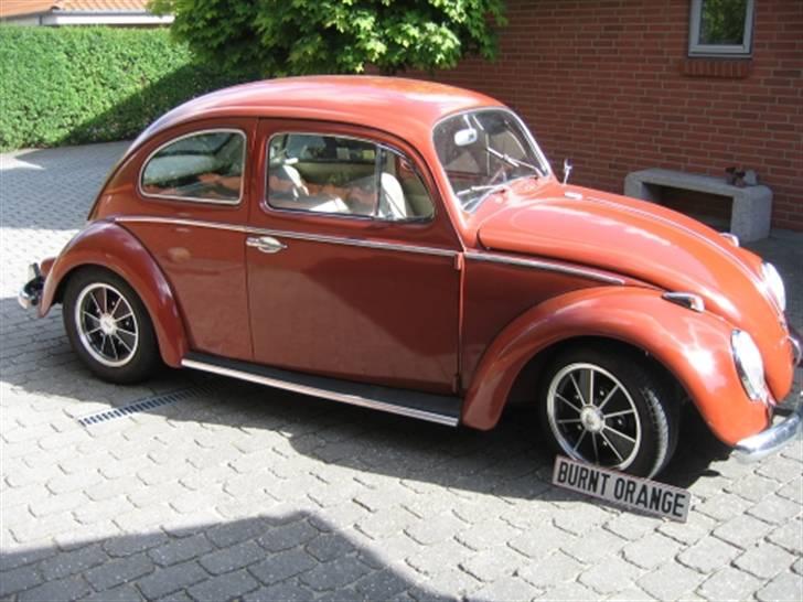 VW Bobbel  SOLGT - Burnt Orange billede 3