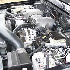 Amerikaner Typhoon GMC (SOLGT)