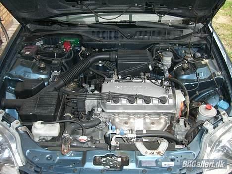 Honda Civic Coupe [Død] billede 6