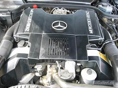 Mercedes Benz sl 500  - tyske veloplagte arbejdshypheste billede 5
