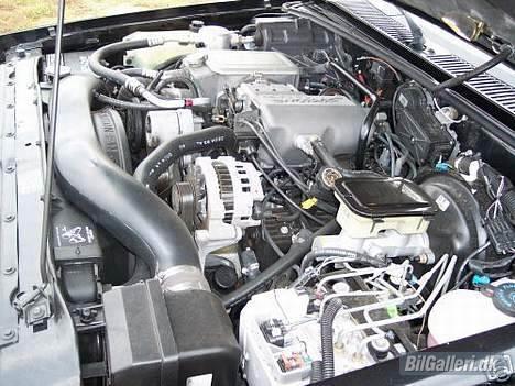 Amerikaner Typhoon GMC (SOLGT) billede 2