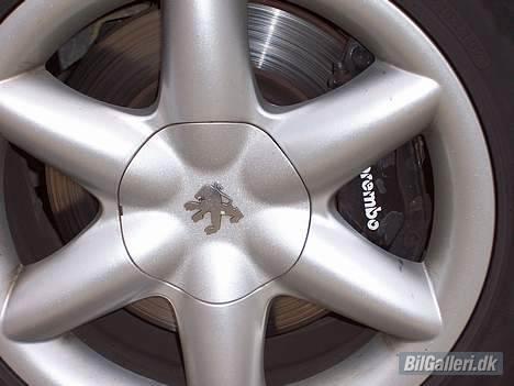 Peugeot 406 coupe 3,0 V6 billede 5