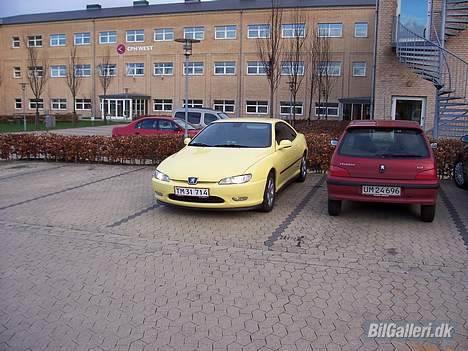 Peugeot 406 coupe 3,0 V6 billede 8