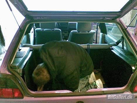 VW golf 2 R.I.P. - der vi var ved at sætte KOMPLET ALPINE anlæg i Guffi billede 7