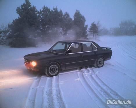 BMW  524 TD E28 billede 7