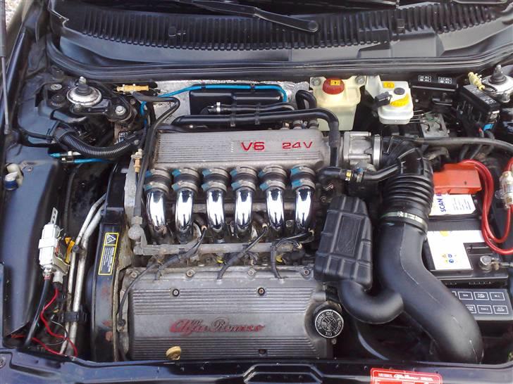 Alfa Romeo 156 2.5 V6 24V  -SOLGT-! - Motorrum, oz dejlig rent og nyvasket :D billede 12