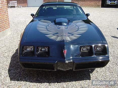 Pontiac Trans Am billede 5