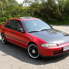 Honda Civic *R.I.P.*