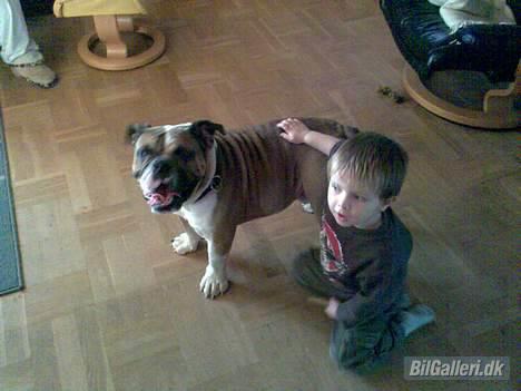 Mazda 626 2.0  "White 'Widow" - Lige et billede af mine 2 vildbasser.... billede 19