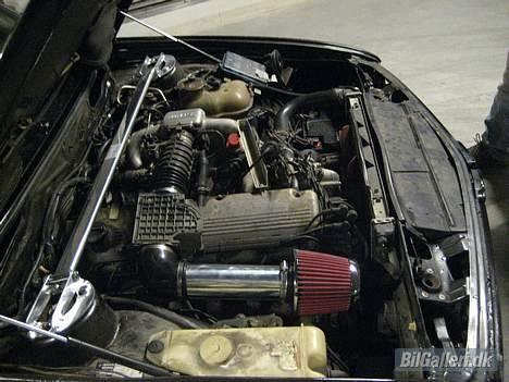 BMW e28 (SOLGT) billede 5