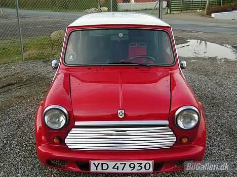 Mini Mascot billede 3