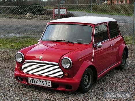 Mini Mascot billede 5