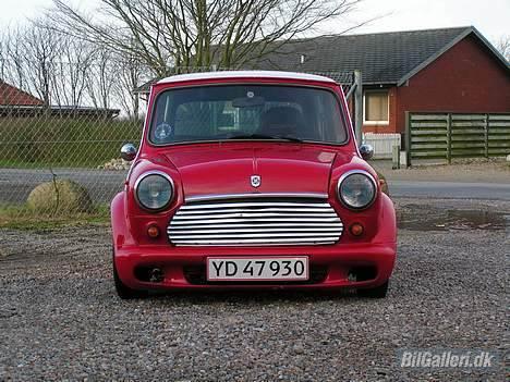 Mini Mascot billede 6